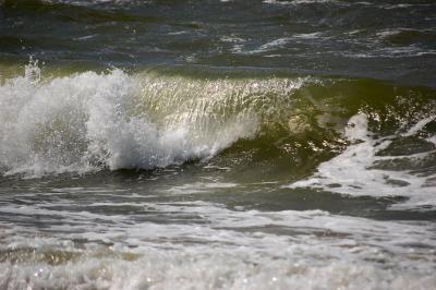 Прикрепленное изображение: 0223r.jpg